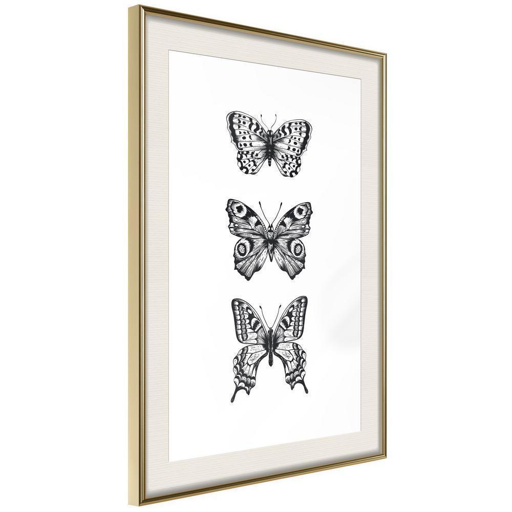 Black and White Framed Poster - Butterfly Collection III-artwork for wall with acrylic glass protection