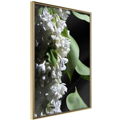 Botanical Wall Art - Fragrant Spring-artwork for wall with acrylic glass protection