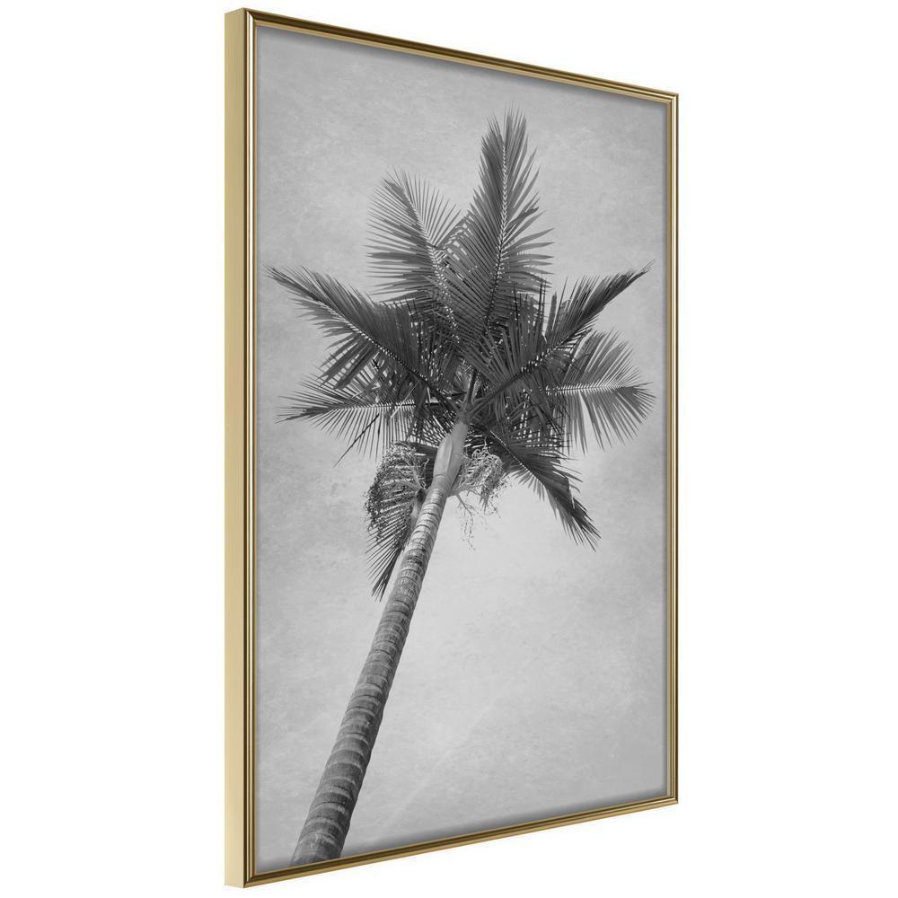 Black and White Framed Poster - Memories from the Paradise-artwork for wall with acrylic glass protection