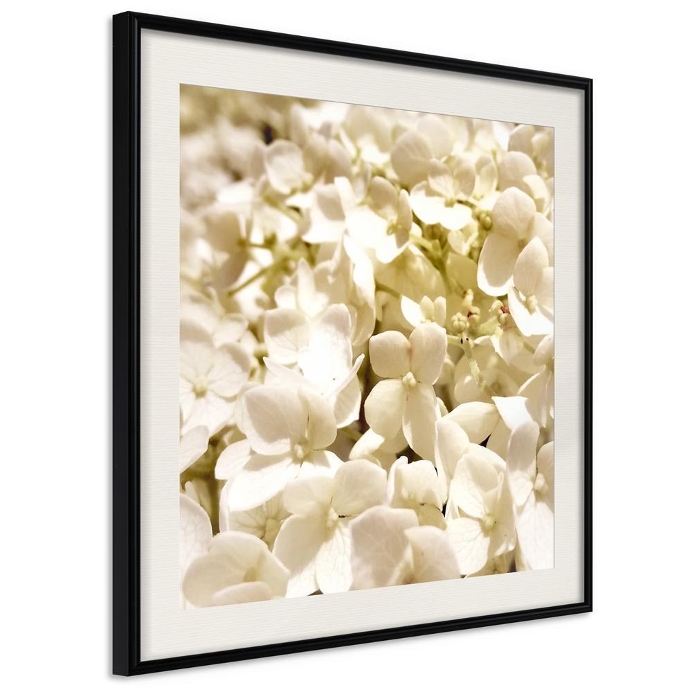 Botanical Wall Art - Soothing Flowers-artwork for wall with acrylic glass protection