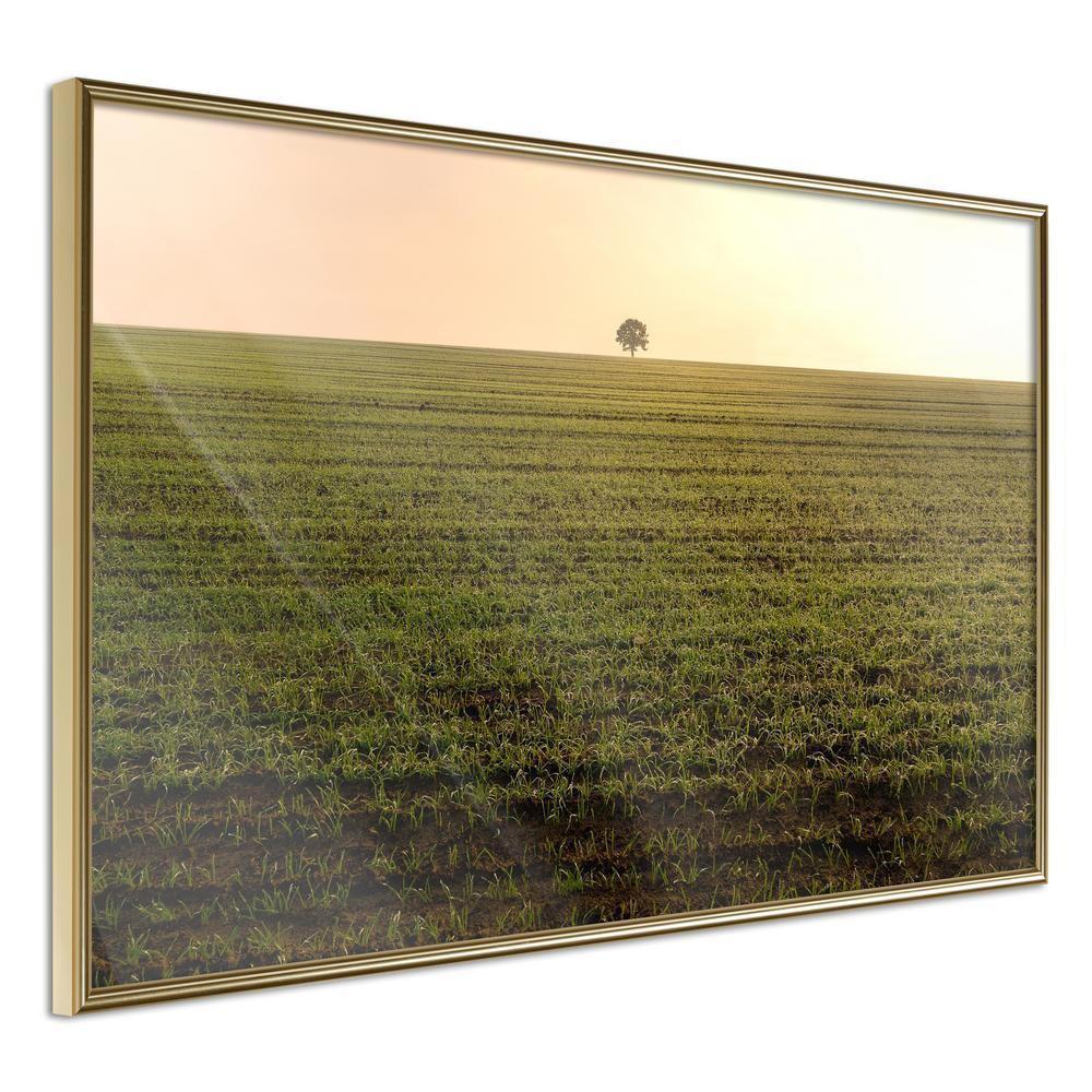 Framed Art - Farmland-artwork for wall with acrylic glass protection
