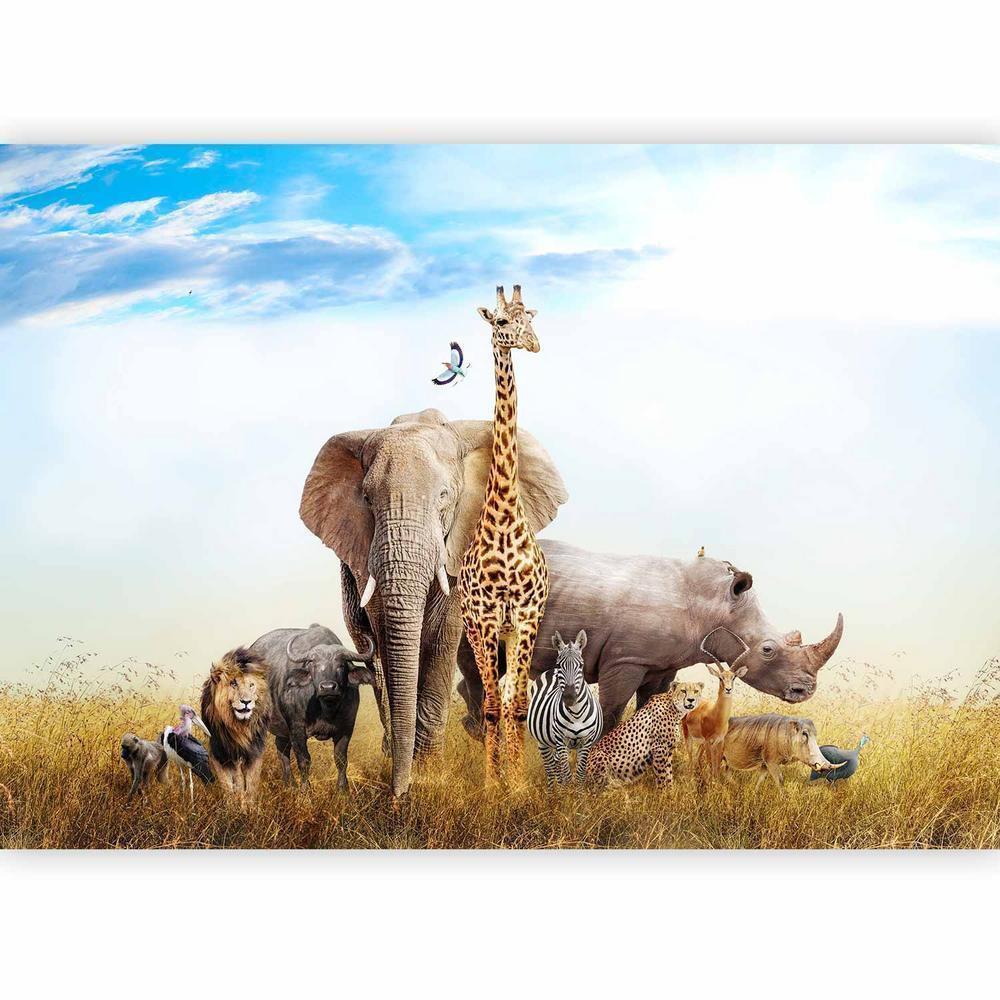 Wall Mural - Fauna of Africa