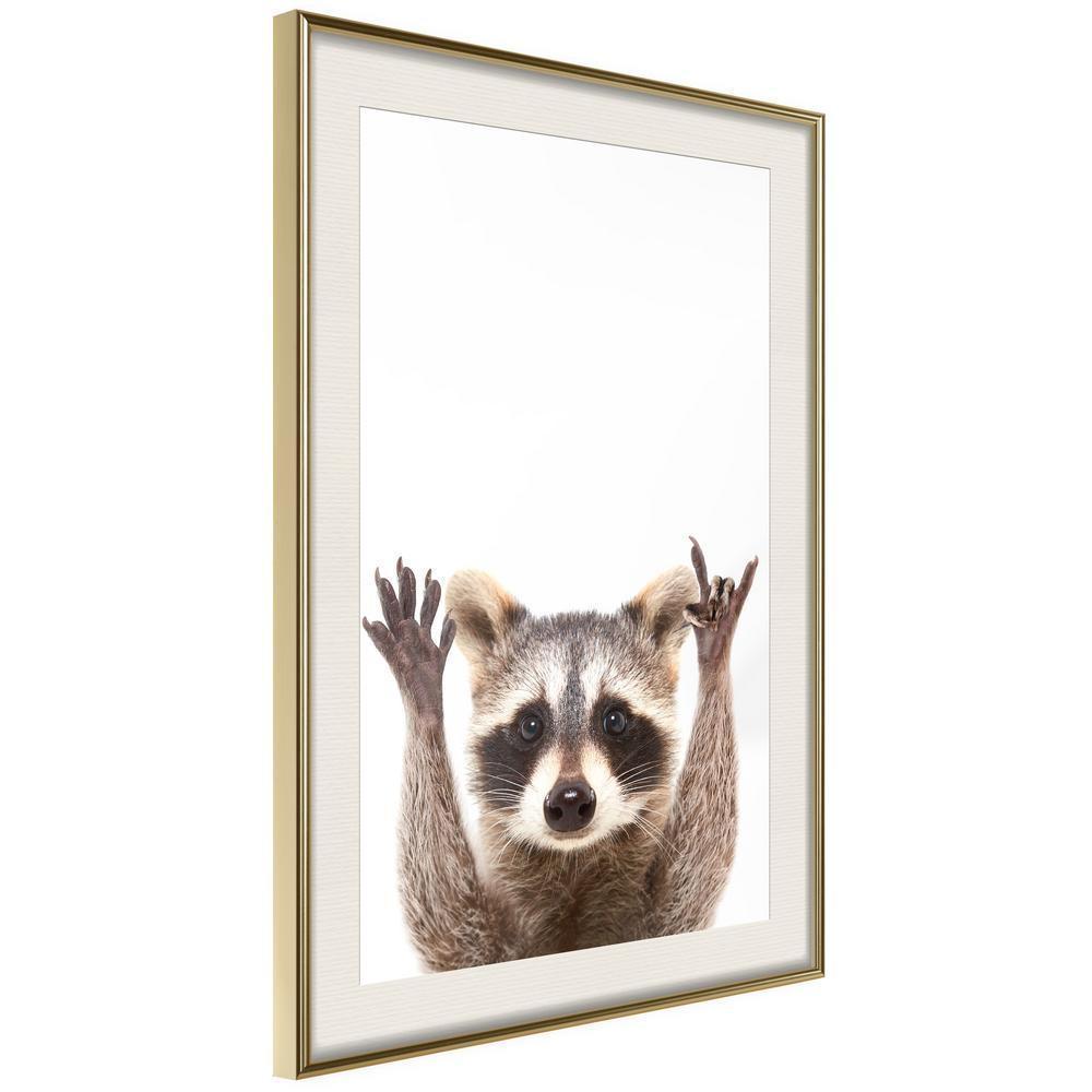 Frame Wall Art - Funny Racoon-artwork for wall with acrylic glass protection