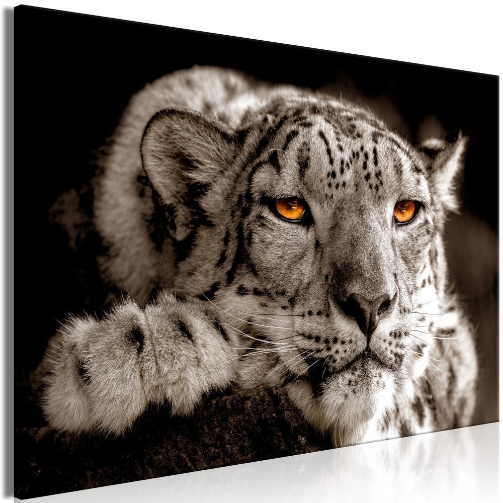 Canvas Print - Magic Eyes (1 Part) Wide-ArtfulPrivacy-Wall Art Collection