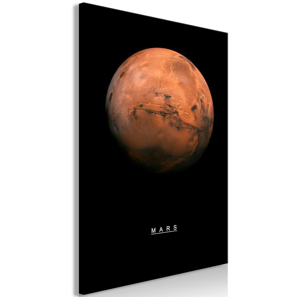 Canvas Print - Mars (1 Part) Vertical-ArtfulPrivacy-Wall Art Collection