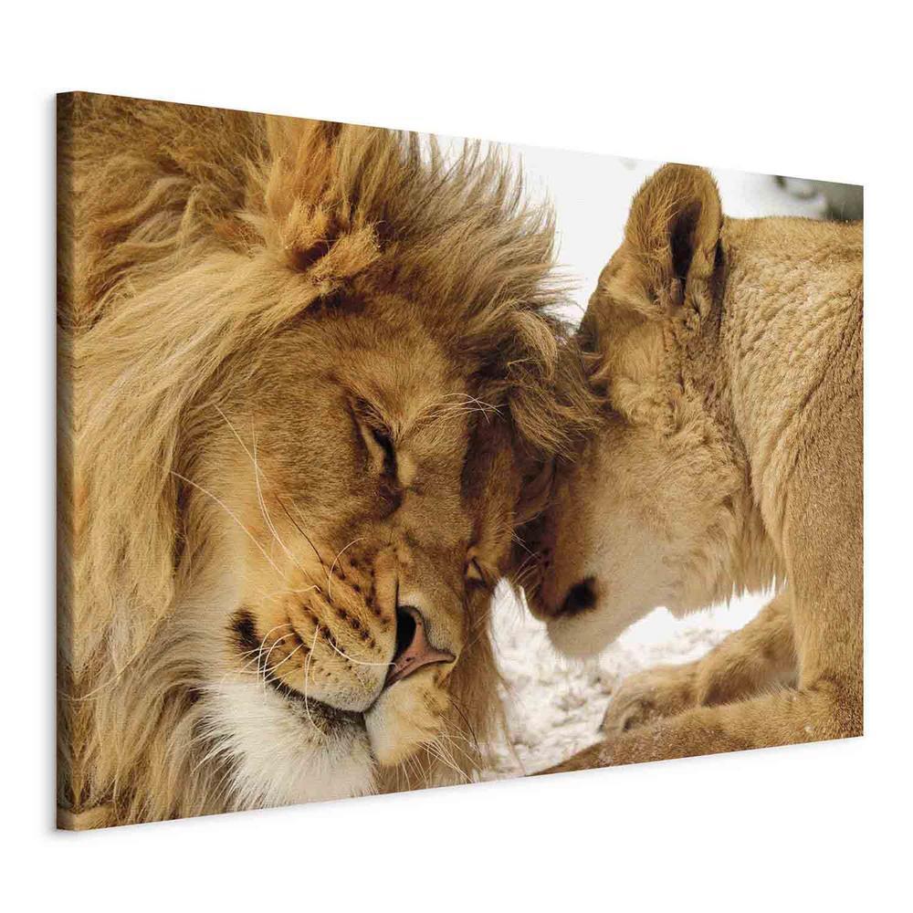 Canvas Print - Love's Secret