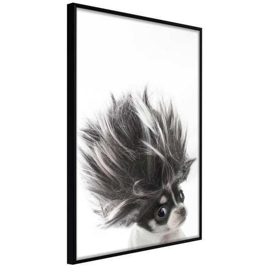 Nursery Room Wall Frame - Funny Chihuahua-artwork for wall with acrylic glass protection