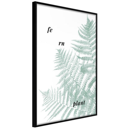 Botanical Wall Art - Pale Green Fern-artwork for wall with acrylic glass protection