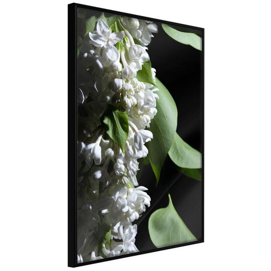 Botanical Wall Art - Fragrant Spring-artwork for wall with acrylic glass protection