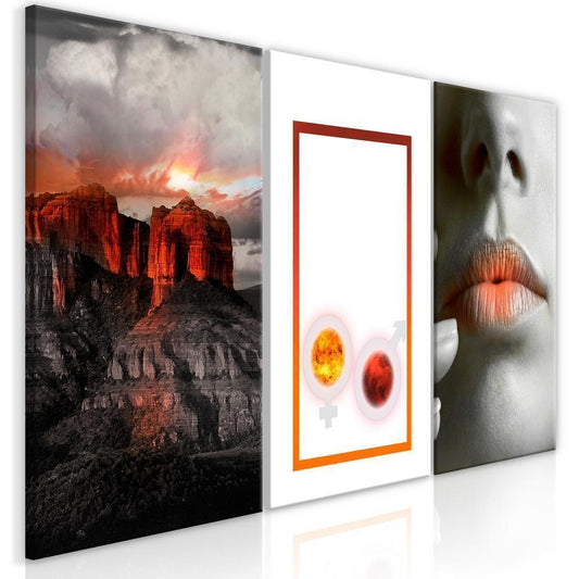 Canvas Print - Passion (3 Parts)-ArtfulPrivacy-Wall Art Collection