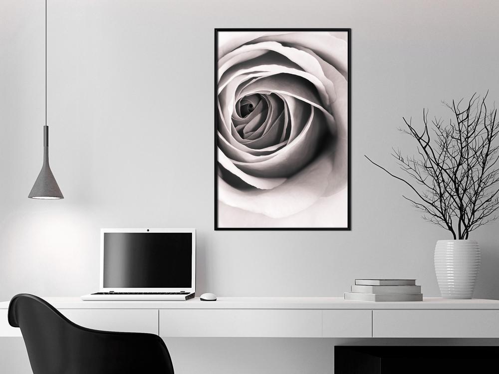 Botanical Wall Art - Structure of Petals-artwork for wall with acrylic glass protection