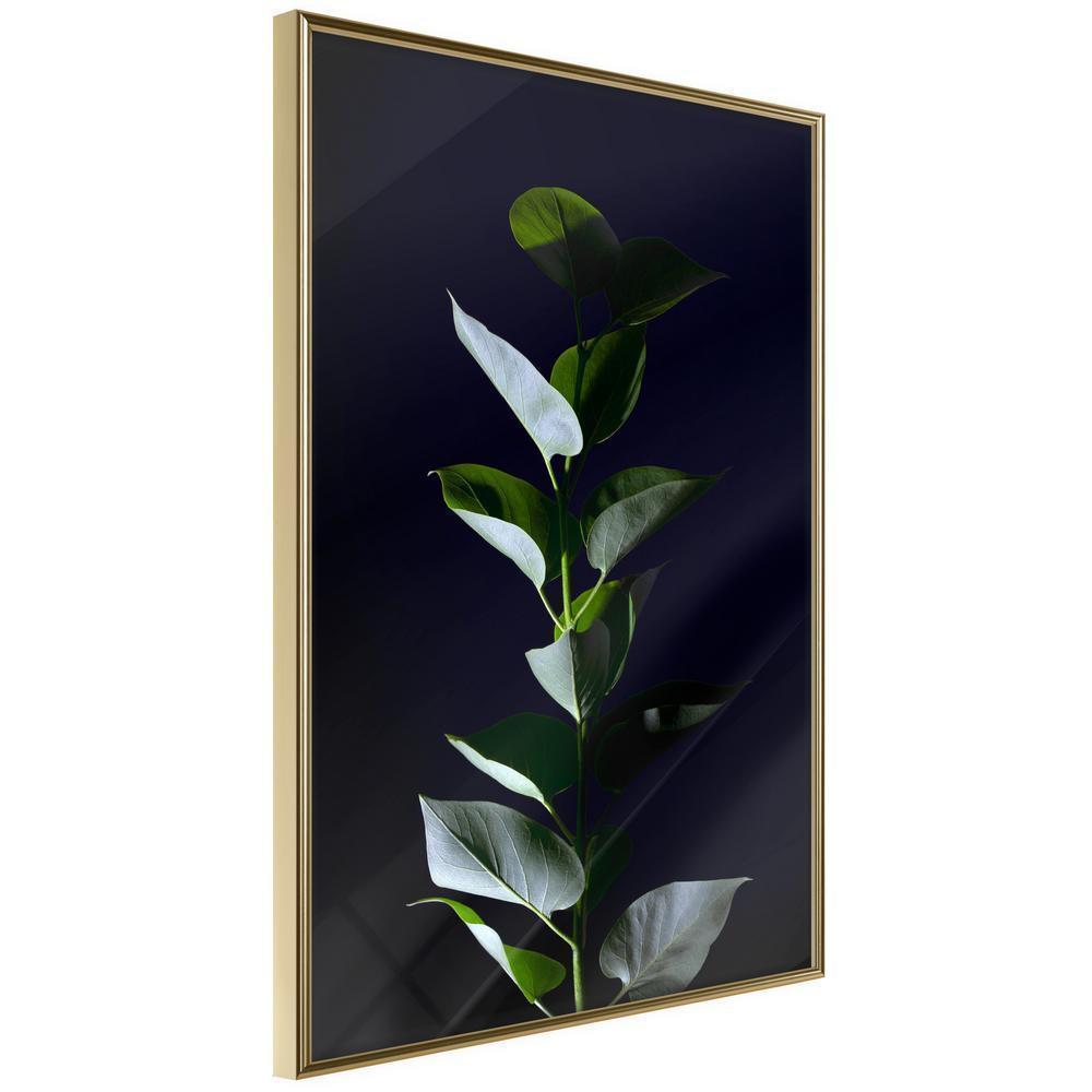 Botanical Wall Art - Floral Elegance-artwork for wall with acrylic glass protection