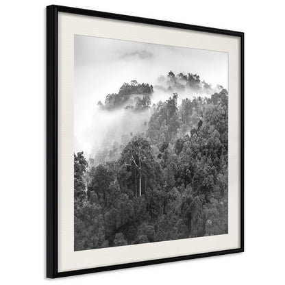 Framed Art - Foggy Forest-artwork for wall with acrylic glass protection