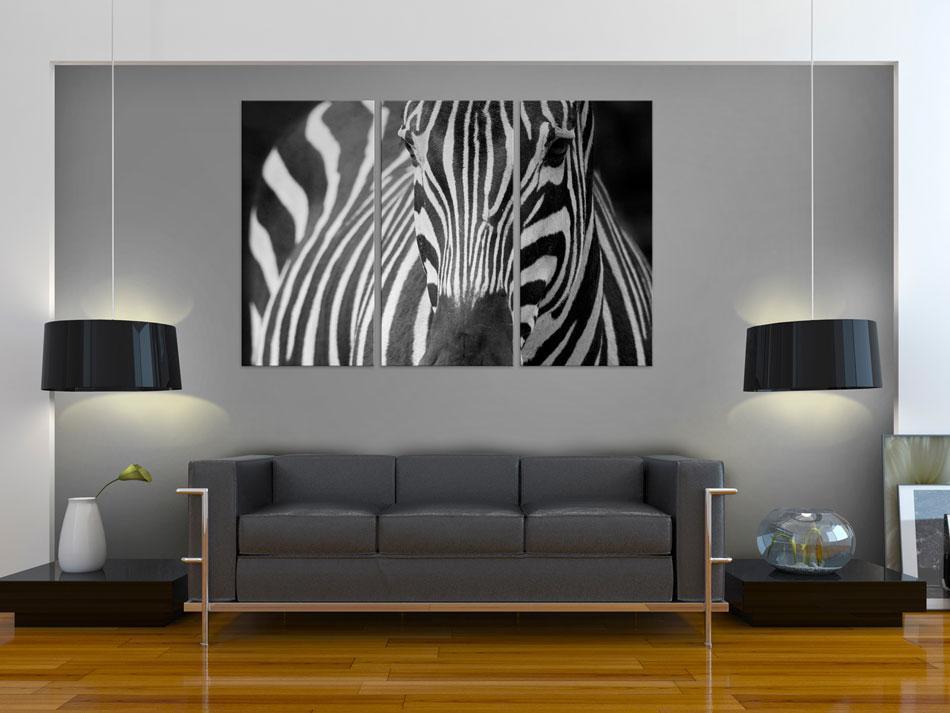Canvas Print - Mrs Zebra-ArtfulPrivacy-Wall Art Collection