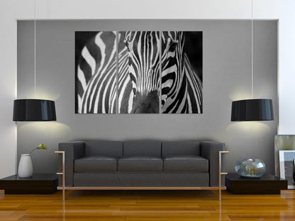 Canvas Print - Mrs Zebra-ArtfulPrivacy-Wall Art Collection