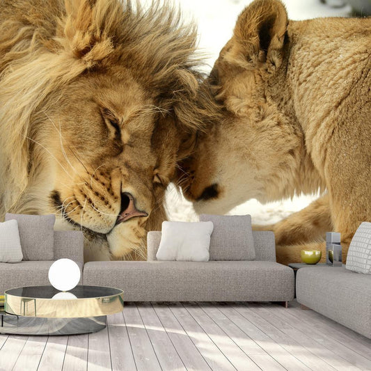 Wall Mural - Lion Tenderness-Wall Murals-ArtfulPrivacy