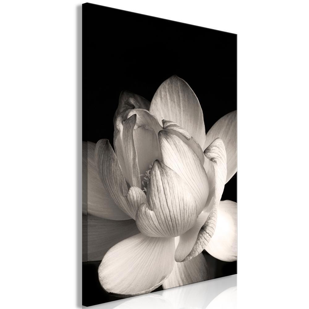 Canvas Print - Delicacy of Petals in Nature (1-part) - Flower in Black and White-ArtfulPrivacy-Wall Art Collection