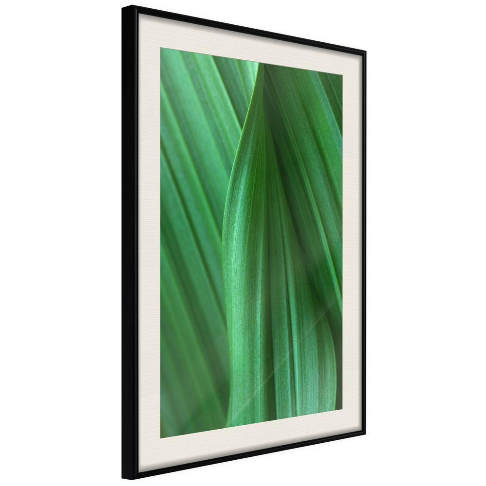Botanical Wall Art - Leaf Structure-artwork for wall with acrylic glass protection