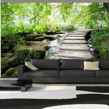 Wall Mural - Forest path-Wall Murals-ArtfulPrivacy