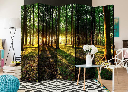Decorative partition-Room Divider - Morning in the Forest II-Folding Screen Wall Panel by ArtfulPrivacy