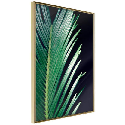 Botanical Wall Art - Soothing Green-artwork for wall with acrylic glass protection