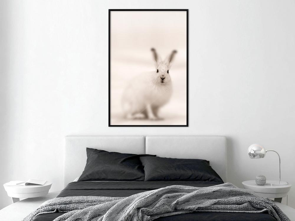 Frame Wall Art - Curious Rabbit-artwork for wall with acrylic glass protection