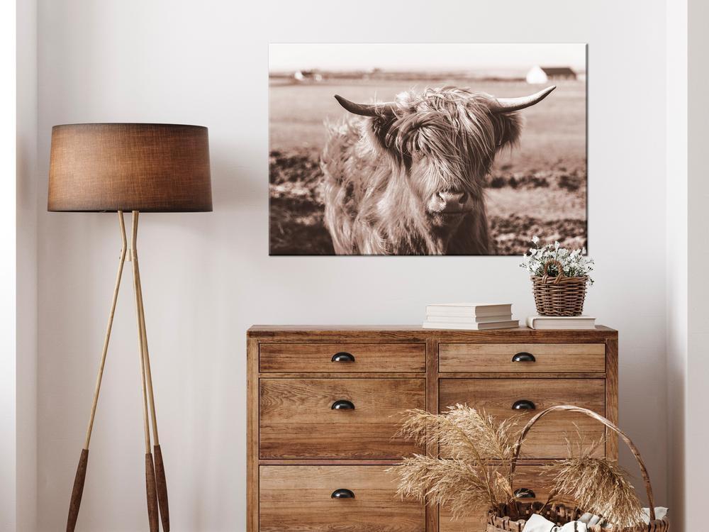 Canvas Print - A Scottish Cow in Sepia