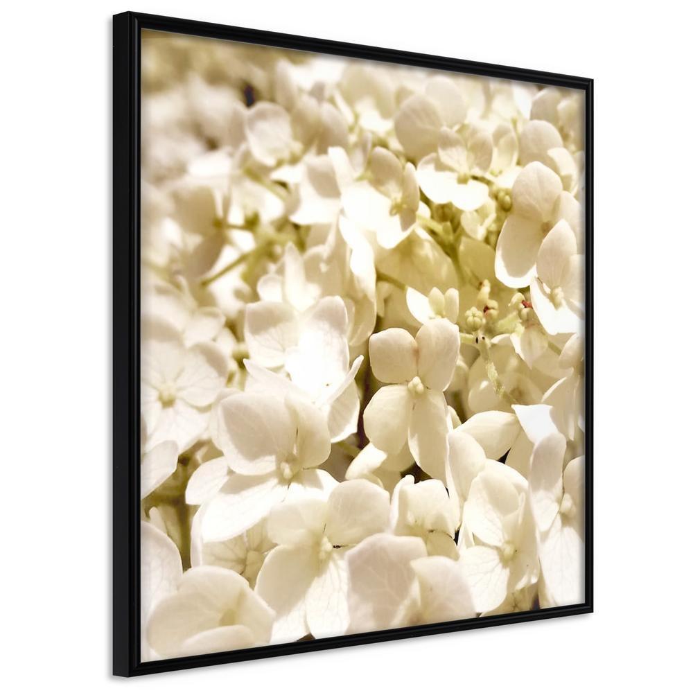 Botanical Wall Art - Soothing Flowers-artwork for wall with acrylic glass protection