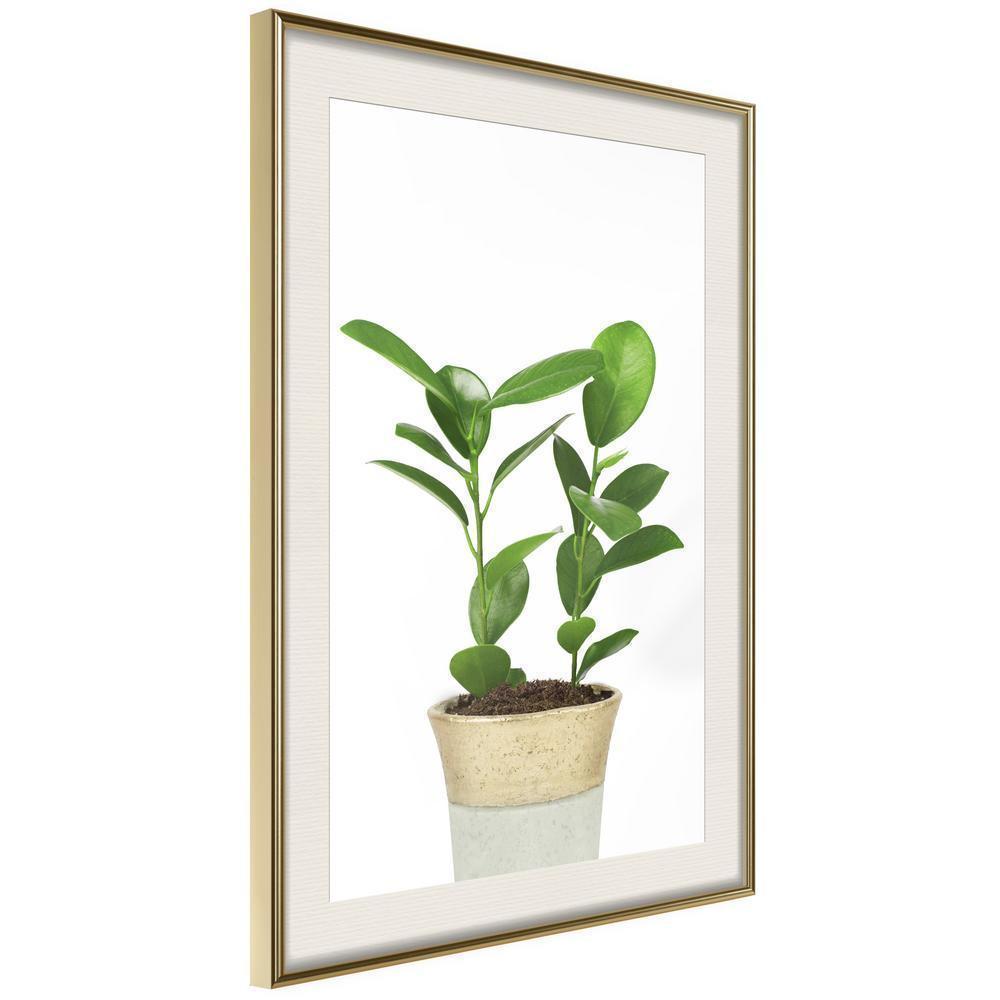 Botanical Wall Art - Piece of Nature II-artwork for wall with acrylic glass protection