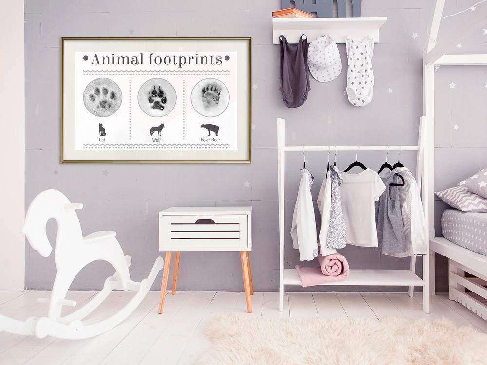 Frame Wall Art - How to Recognize an Animal-artwork for wall with acrylic glass protection