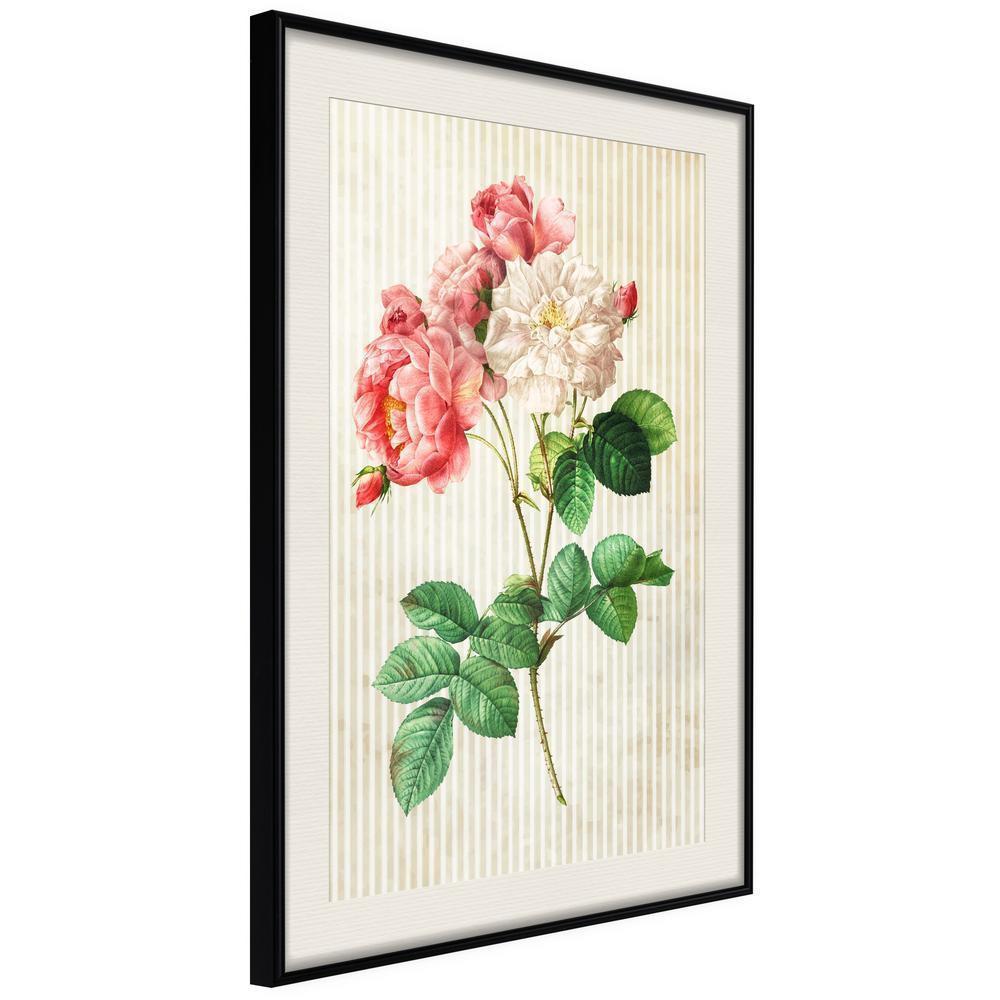 Botanical Wall Art - Romance II-artwork for wall with acrylic glass protection