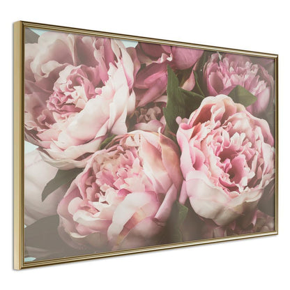 Botanical Wall Art - Pastel Peonies-artwork for wall with acrylic glass protection