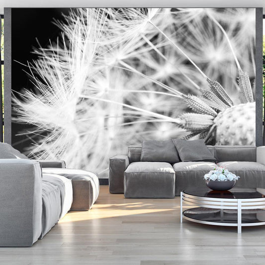 Wall Mural - Black and white dandelion-Wall Murals-ArtfulPrivacy