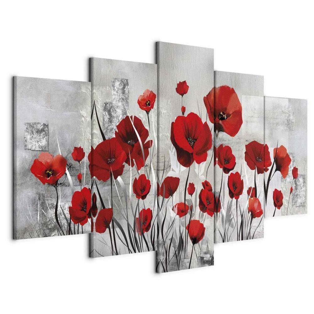 Canvas Print - Scarlet Cloud