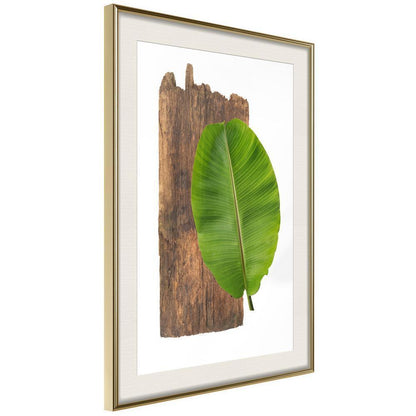 Botanical Wall Art - Forest Nature-artwork for wall with acrylic glass protection