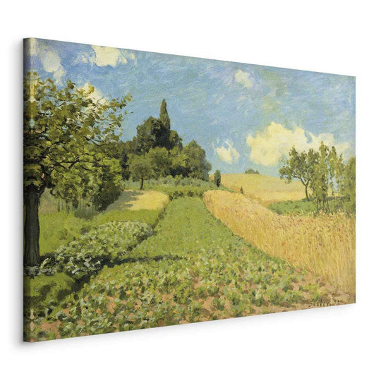 Canvas Print - The Cornfield (near Argenteuil) (Alfred Sisley)