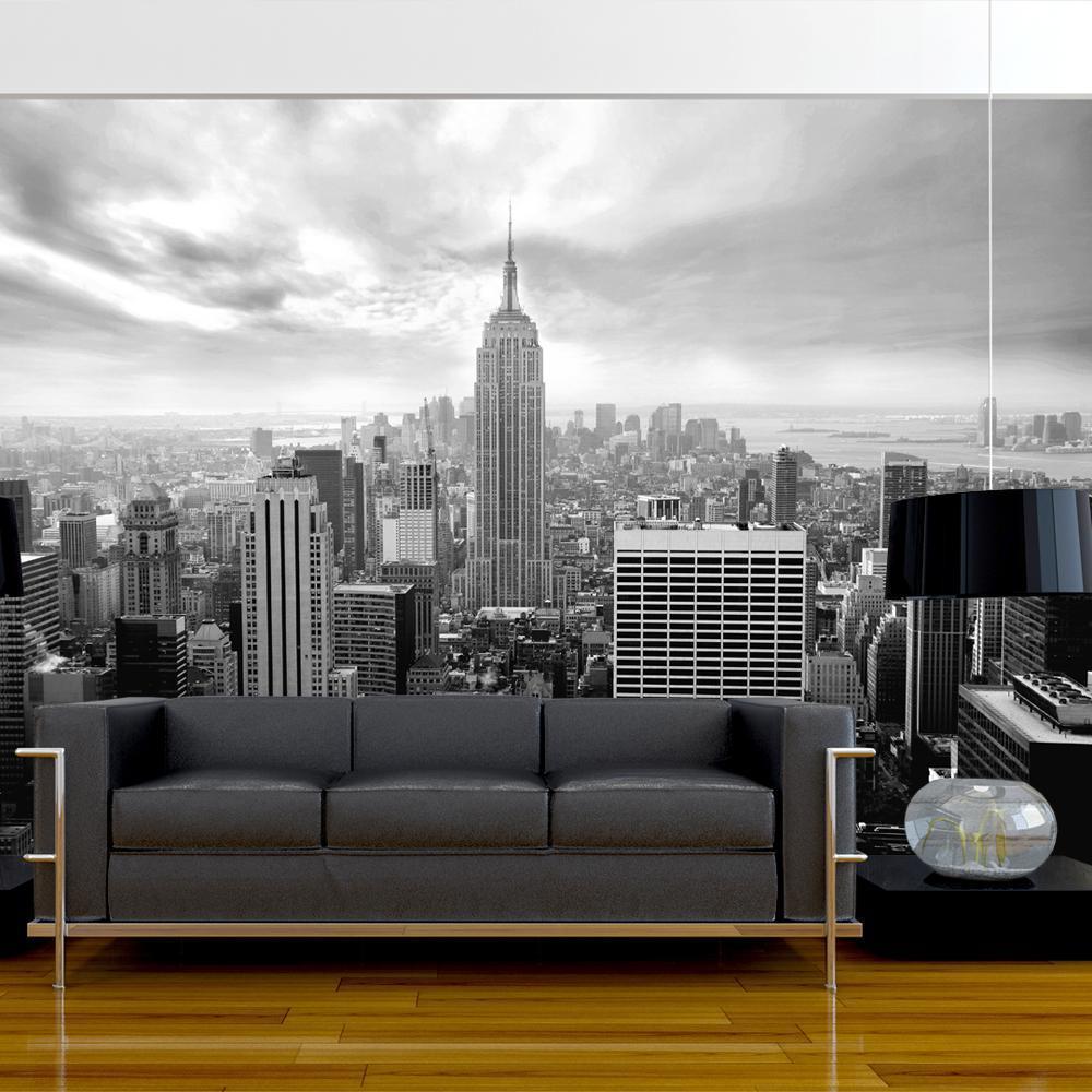 Wall Mural - Old New York-Wall Murals-ArtfulPrivacy