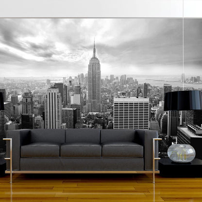 Wall Mural - Old New York-Wall Murals-ArtfulPrivacy