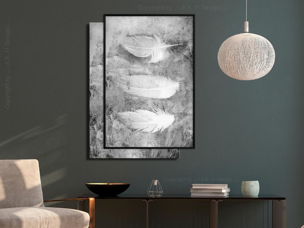 Black and White Framed Poster - Delicate Feathers-artwork for wall with acrylic glass protection