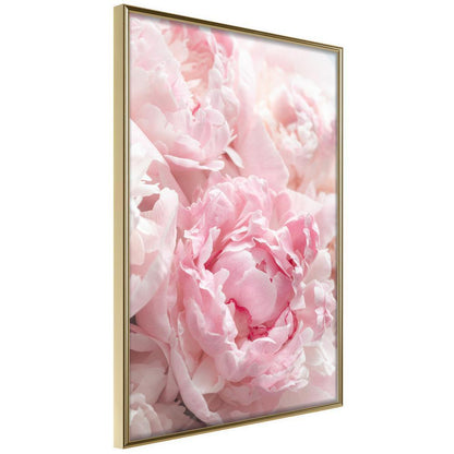 Botanical Wall Art - Abundance of Flowers-artwork for wall with acrylic glass protection