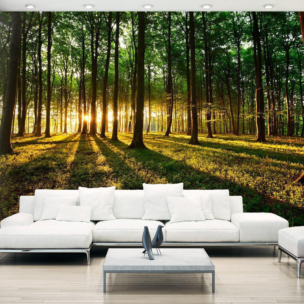 Wall Mural - Mystical Morning-Wall Murals-ArtfulPrivacy