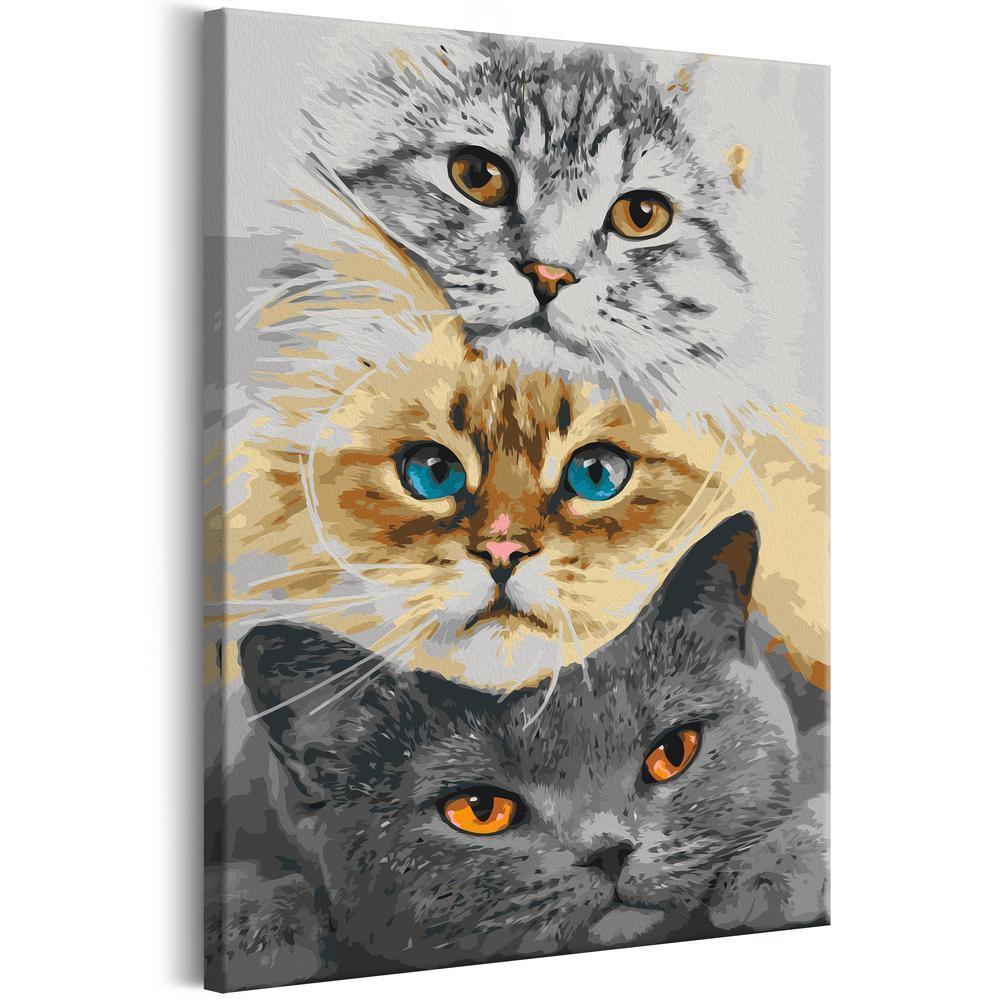 Start learning Painting - Paint By Numbers Kit - Cat's Trio - new hobby