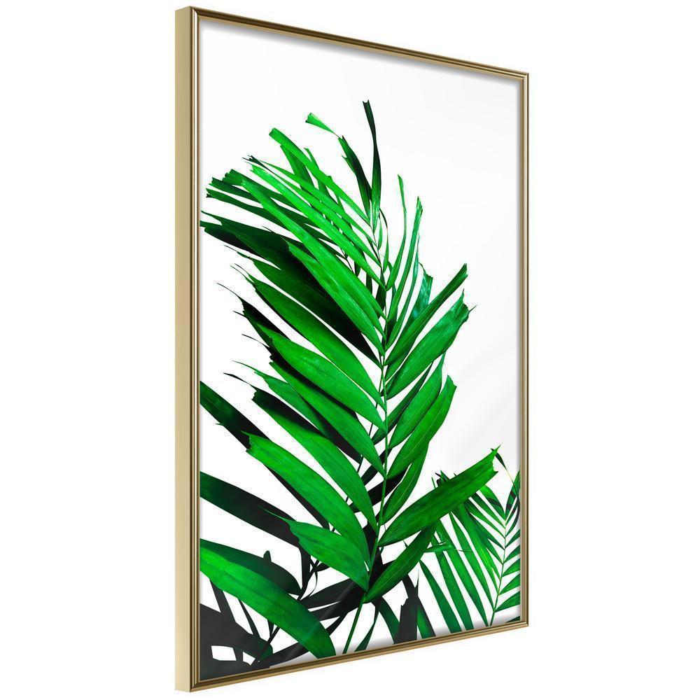 Botanical Wall Art - Emerald Palm-artwork for wall with acrylic glass protection