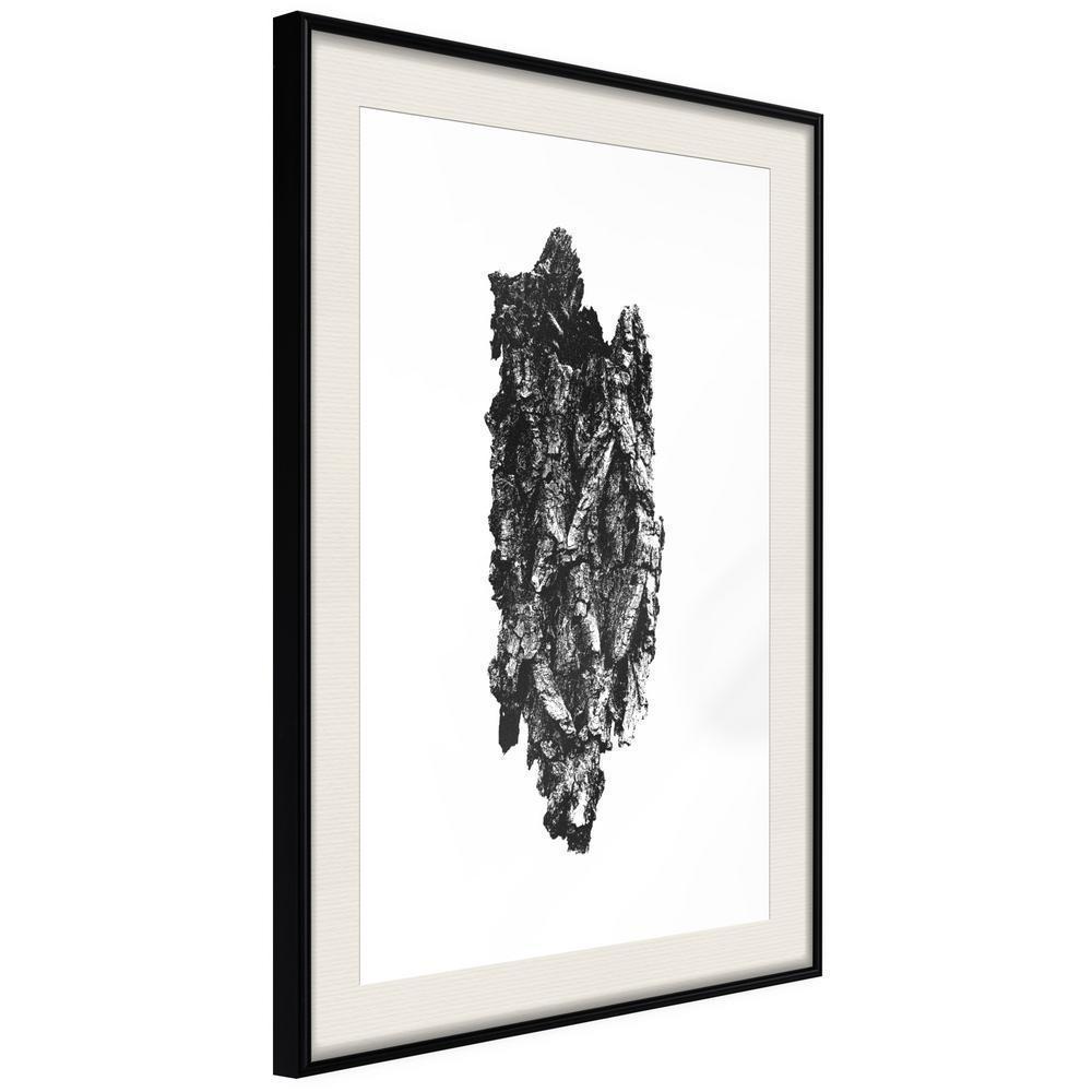 Botanical Wall Art - Texture of a Tree-artwork for wall with acrylic glass protection