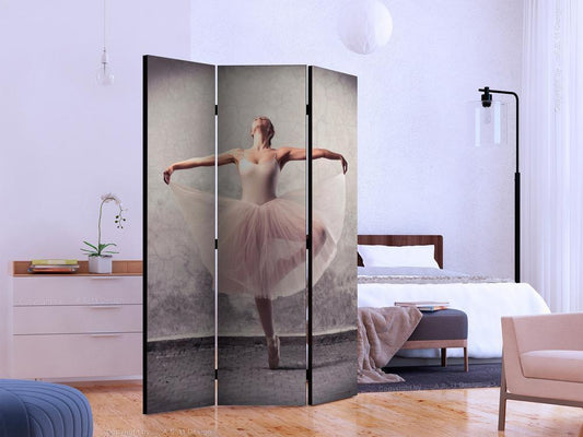 Decorative partition-Room Divider - Classical dance - poetry without words-Folding Screen Wall Panel by ArtfulPrivacy