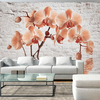 Wall Mural - The Orange Arc-Wall Murals-ArtfulPrivacy