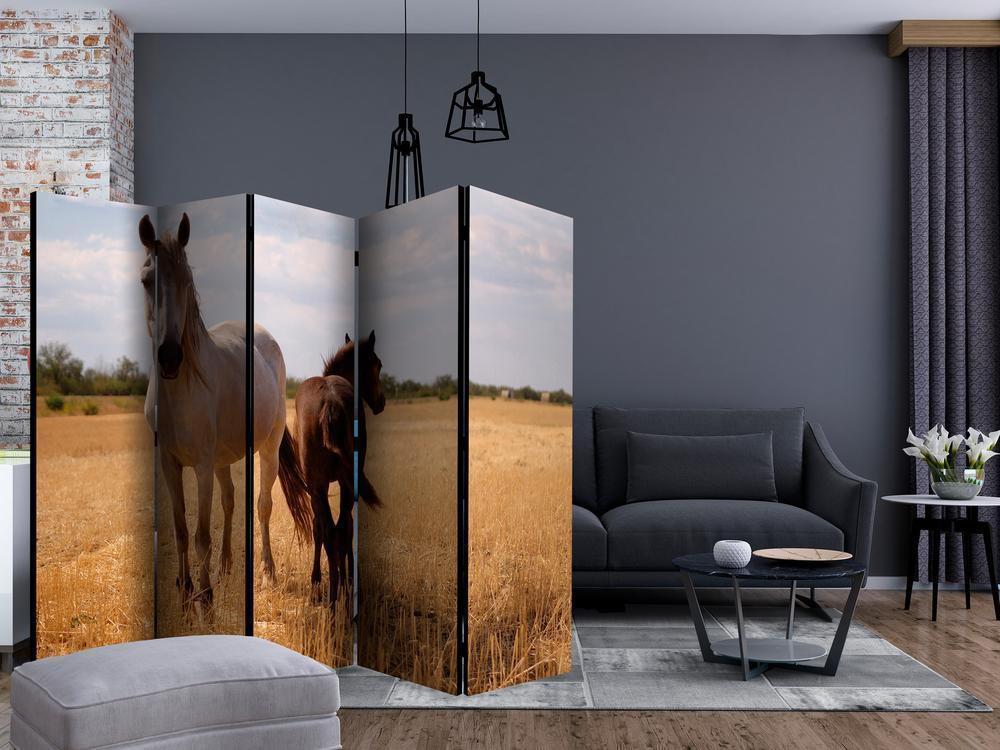 Room Divider - Horse and foal II- A 5 Panel Folding Screen For Living rooms, bedrooms or home office, decorative folding screen made with wood and canvas