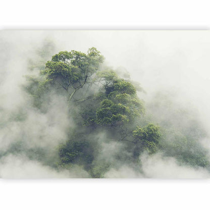 Wall Mural - Foggy Amazon