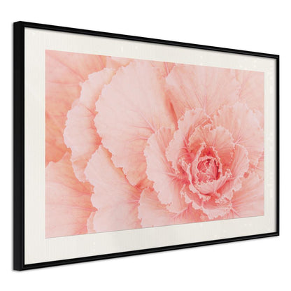 Botanical Wall Art - Delicate Petals-artwork for wall with acrylic glass protection