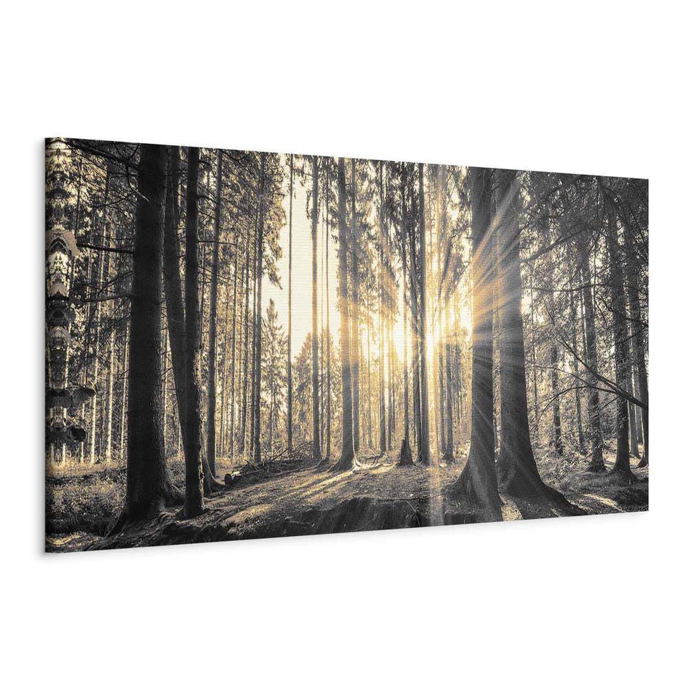 Canvas Print - Forest Sun